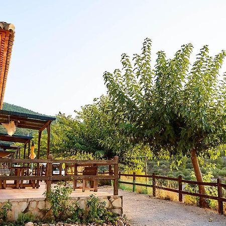 Casa Rural La Canal De Salem מראה חיצוני תמונה
